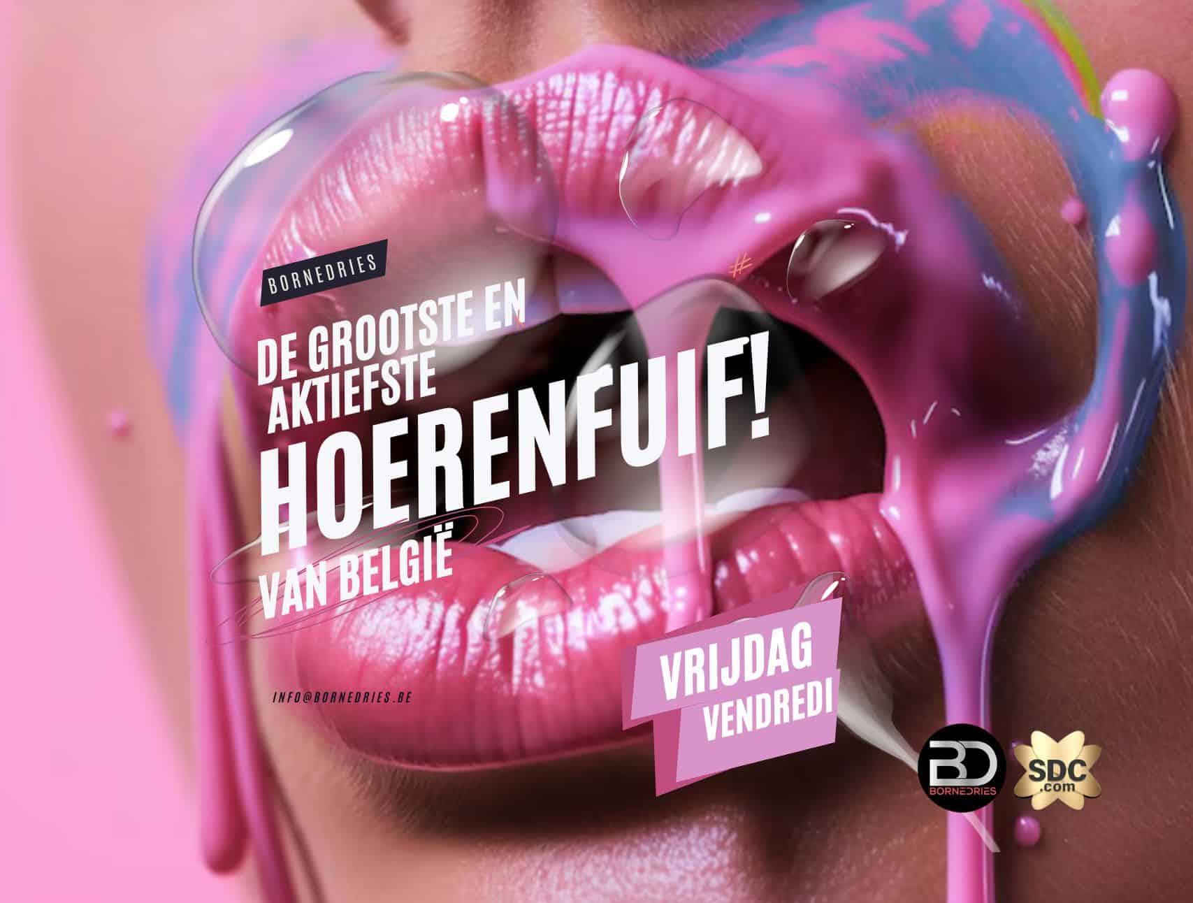 www.bornedries.be