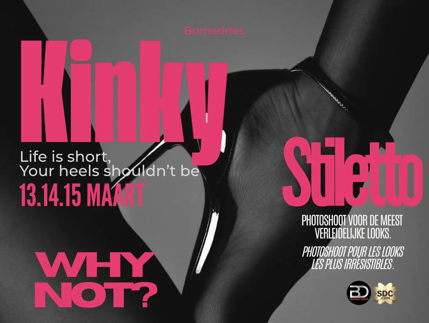 Kinky Stiletto in Parenclub Bornedries